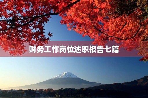财务工作岗位述职报告七篇