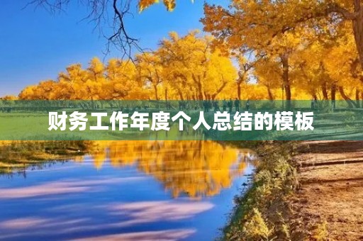 财务工作年度个人总结的模板