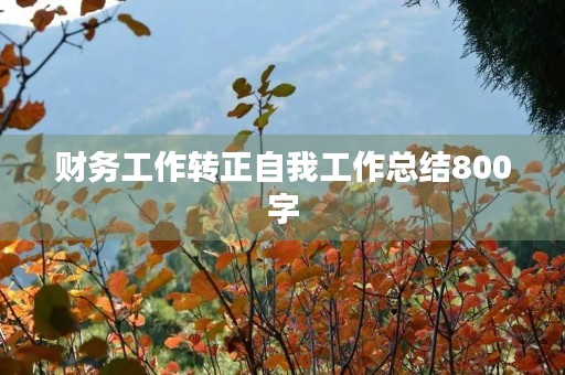 财务工作转正自我工作总结800字