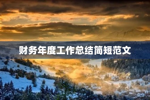 财务年度工作总结简短范文