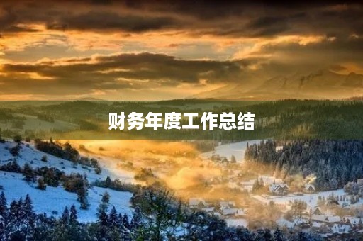 财务年度工作总结