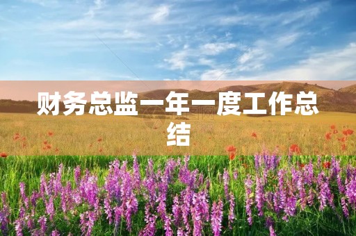 财务总监一年一度工作总结 财务总监一年一度工作总结