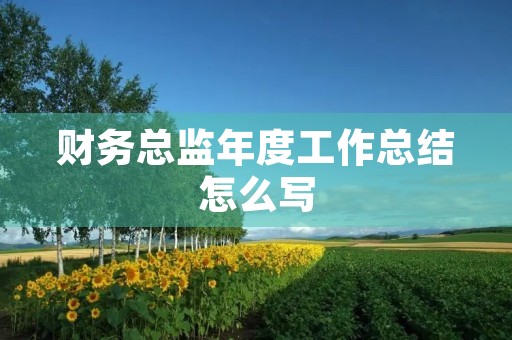 财务总监年度工作总结怎么写 财务总监年度工作总结怎么写