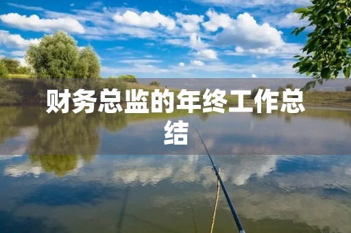财务总监的年终工作总结