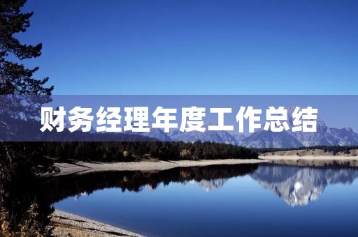 财务经理年度工作总结