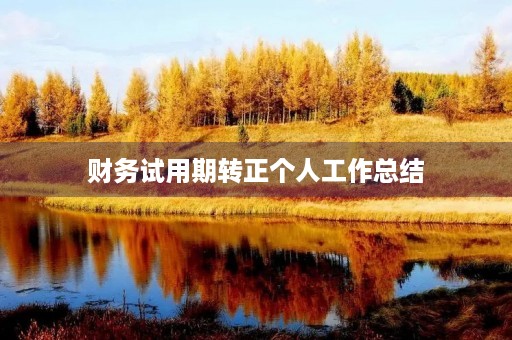 财务试用期转正个人工作总结
