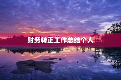 财务转正工作总结个人