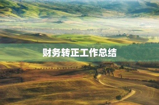 财务转正工作总结
