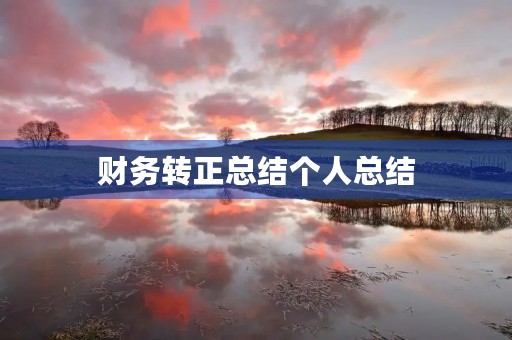 财务转正总结个人总结