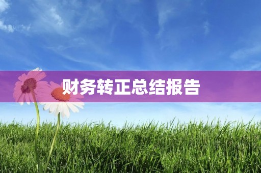 财务转正总结报告