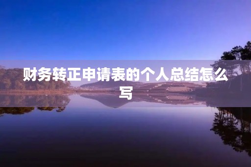 财务转正申请表的个人总结怎么写