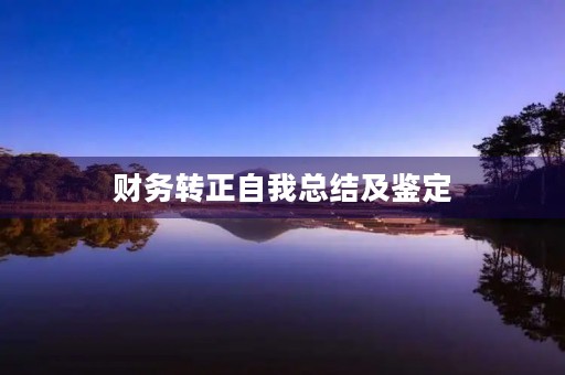 财务转正自我总结及鉴定