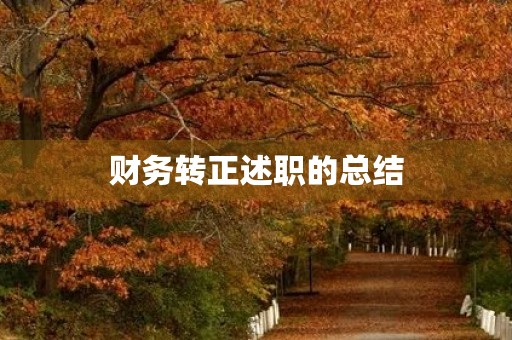 财务转正述职的总结
