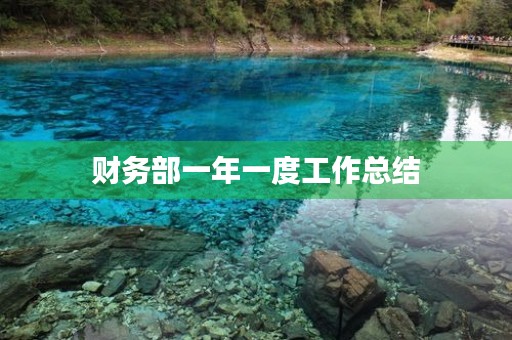 财务部一年一度工作总结