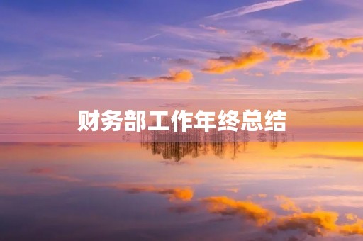 财务部工作年终总结