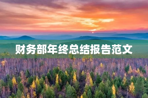 财务部年终总结报告范文