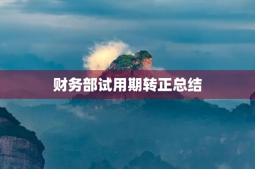 财务部试用期转正总结