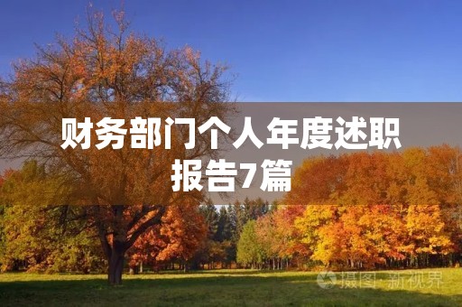 财务部门个人年度述职报告7篇