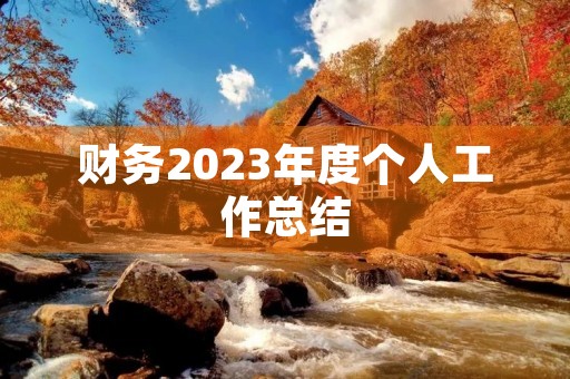 财务2023年度个人工作总结