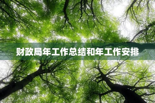 财政局年工作总结和年工作安排