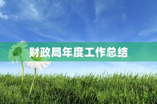 财政局年度工作总结