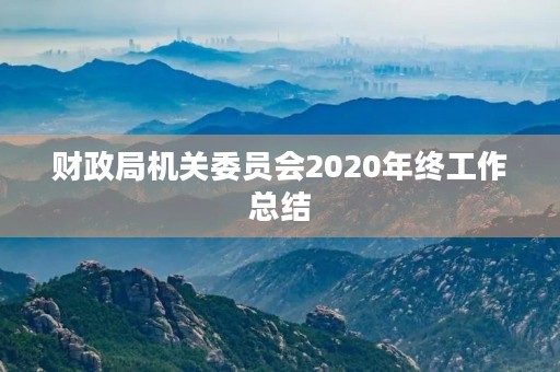 财政局机关委员会2020年终工作总结