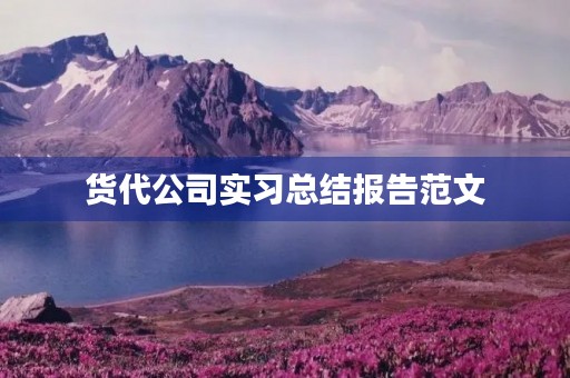 货代公司实习总结报告范文