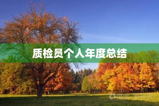 质检员个人年度总结