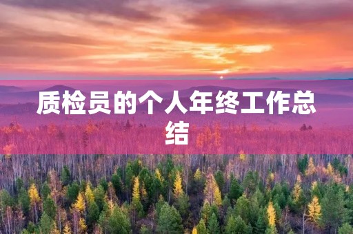 质检员的个人年终工作总结 质检员的个人年终工作总结