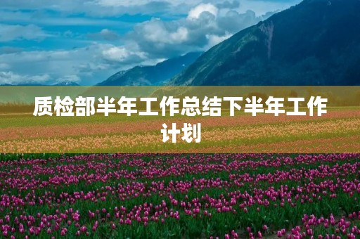 质检部半年工作总结下半年工作计划