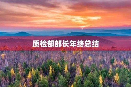 质检部部长年终总结