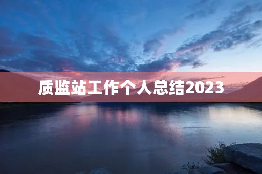 质监站工作个人总结2023