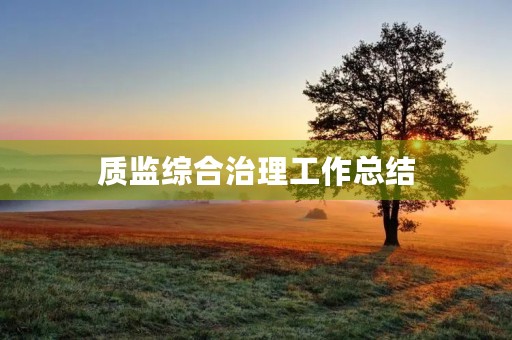 质监综合治理工作总结