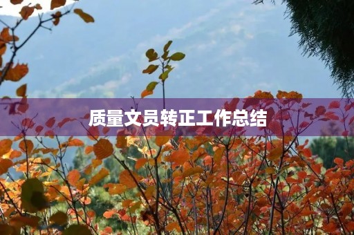 质量文员转正工作总结
