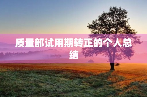 质量部试用期转正的个人总结