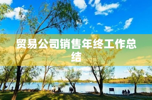 贸易公司销售年终工作总结