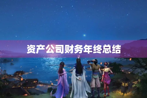 资产公司财务年终总结
