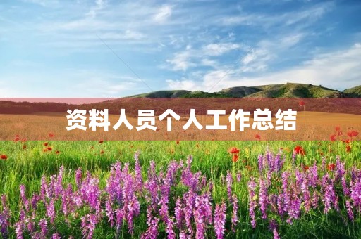 资料人员个人工作总结