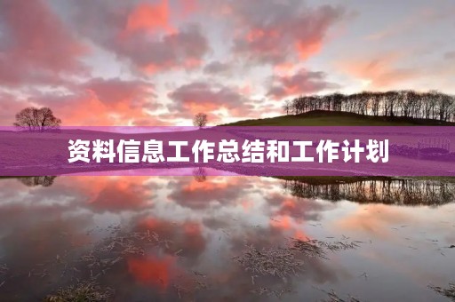 资料信息工作总结和工作计划