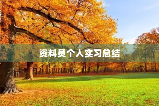 资料员个人实习总结