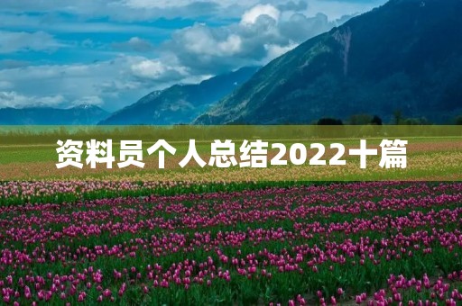 资料员个人总结2022十篇