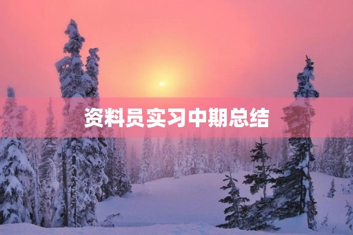 资料员实习中期总结