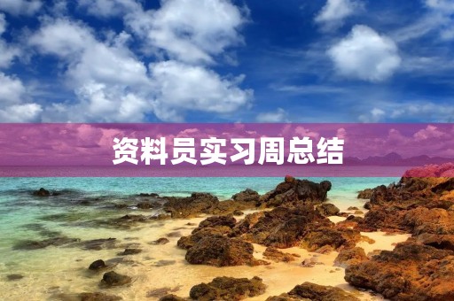 资料员实习周总结