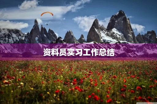 资料员实习工作总结
