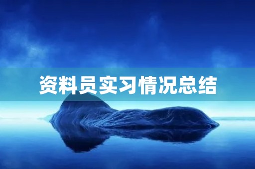 资料员实习情况总结