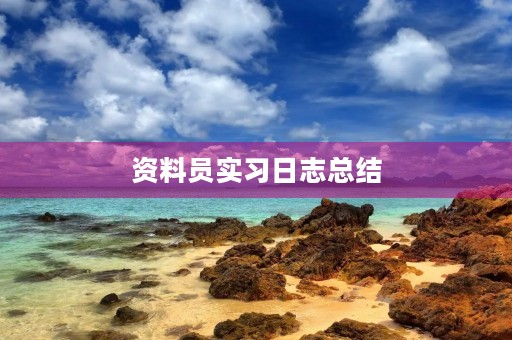 资料员实习日志总结