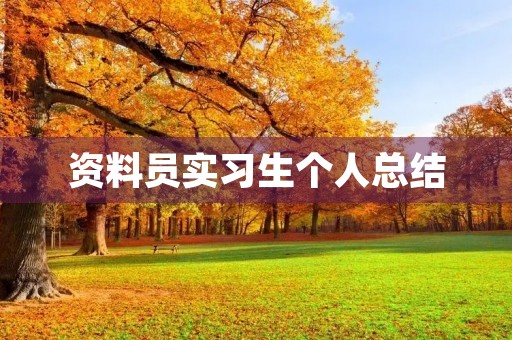 资料员实习生个人总结