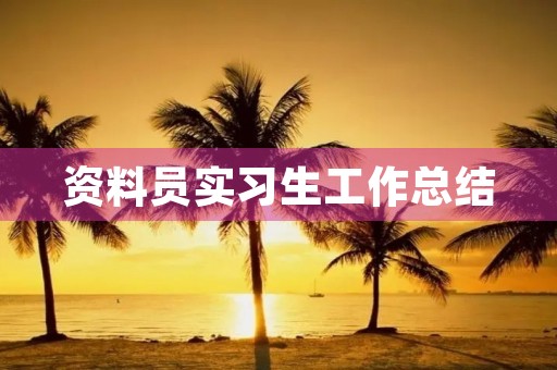 资料员实习生工作总结