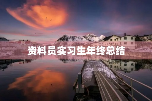资料员实习生年终总结