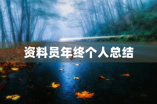 资料员年终个人总结